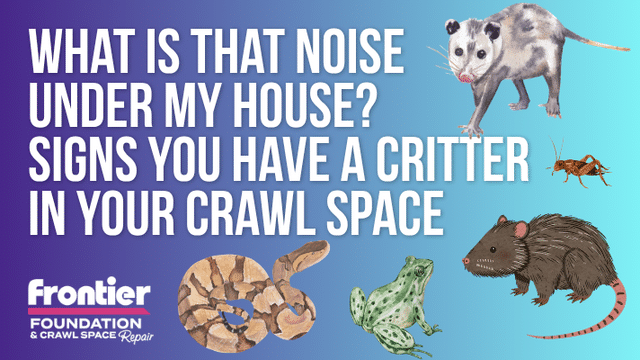 What Is That Noise Under My House?  Signs You Have a Critter in Your Crawl Space