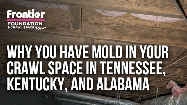 Why You Have Mold in Your Crawl Space in Tennessee, Kentucky, and Alabama