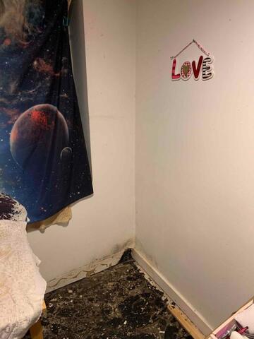 Transforming your Finished Basement with an EverLast Wall System