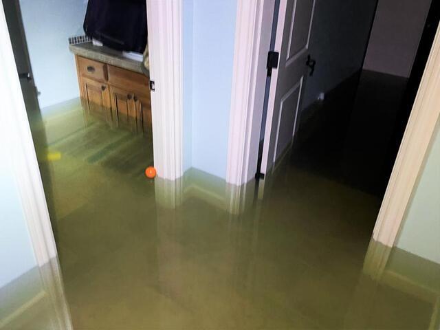 Standing Water in the Basement
