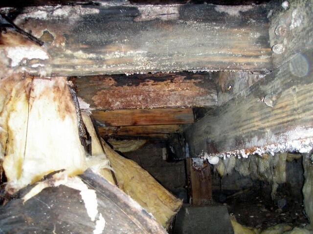 How Mold in Your Crawl Space Can Damage Your Home and Health