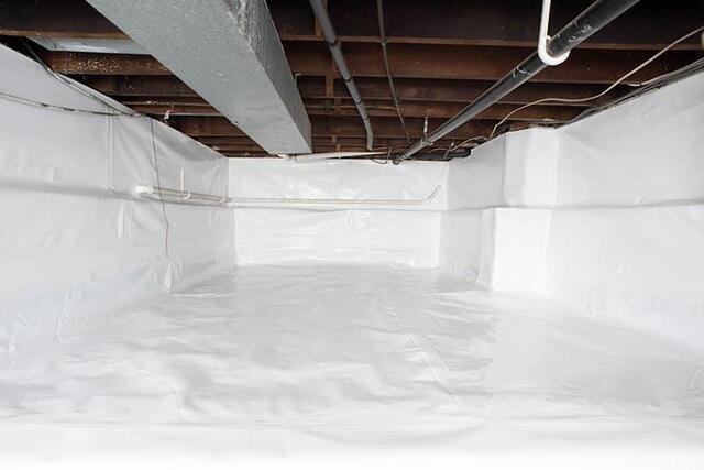 How Mold in Your Crawl Space Can Damage Your Home and Health - Image 2