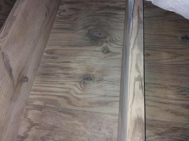 The Ultimate Guide to Crawl Space Sodablasting: The Eco-Friendly Way to Eli...