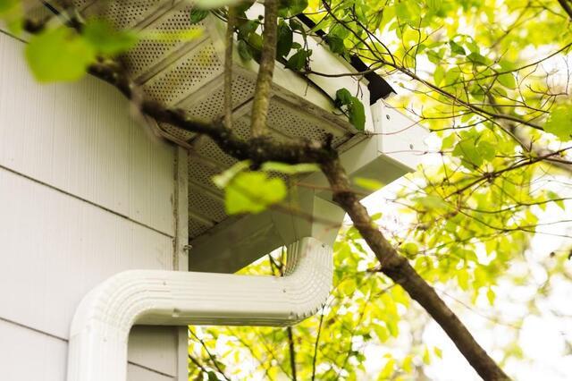 Fall Leaves and Your Gutters: Why Now Is the Time to Protect Your Home - Image 6
