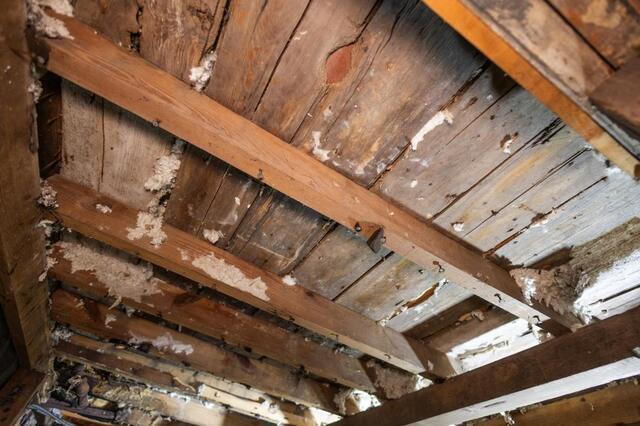 What Is NuWood? Restoring Crawl Space Wood Before Encapsulation - Image 2