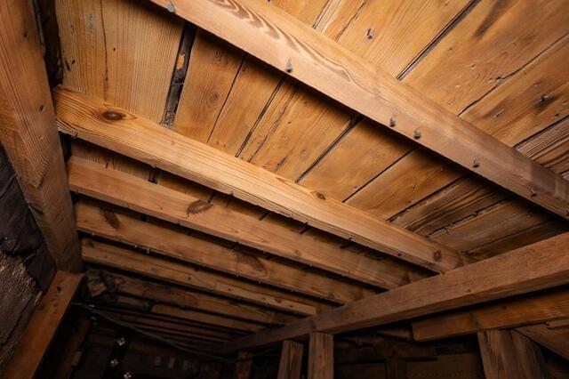 What Is NuWood? Restoring Crawl Space Wood Before Encapsulation - Image 4
