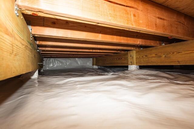 Why Fall Is a Good Time to Check Your Crawl Space - Image 7