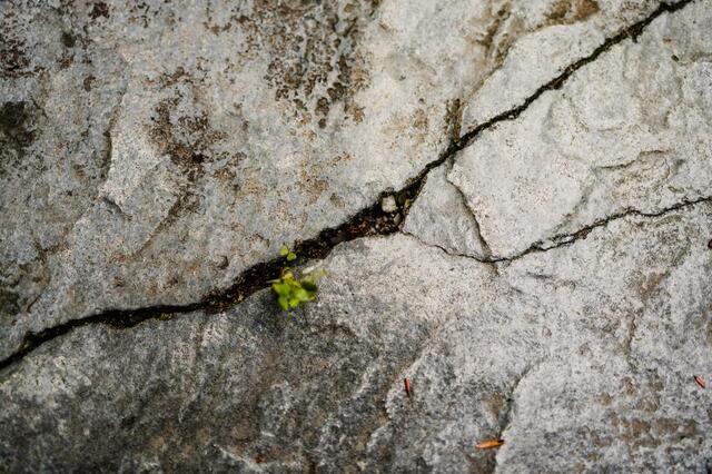 How We Restored a Sunken and Cracked Pool Deck in Caldwell, NJ - Image 2