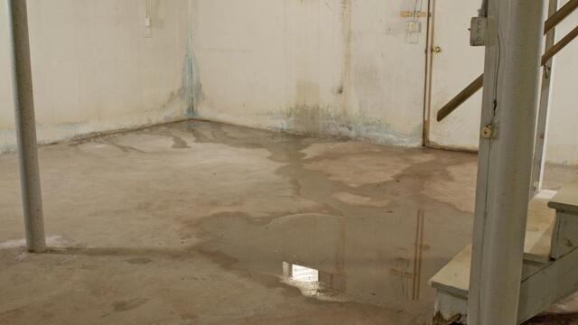 After This Week's Heavy Rain, Is Your Basement or Crawl Space Ready for the...