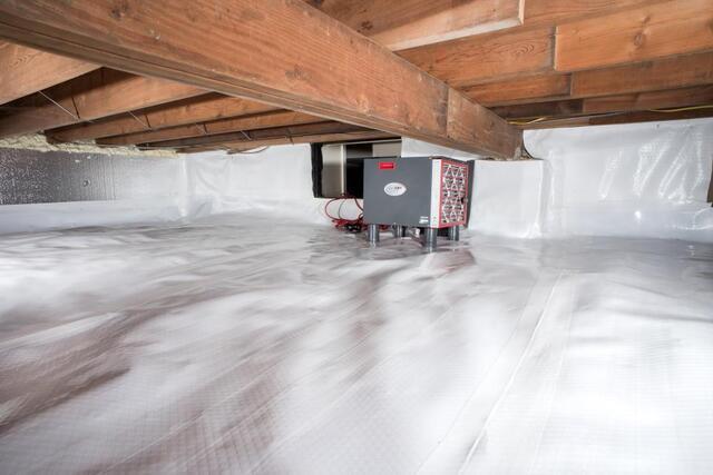 Springtime Humidity: Why It Starts in Your Basement or Crawl Space - Image 3