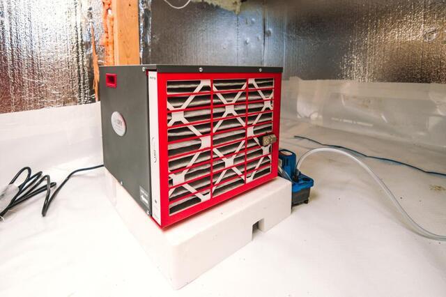 Springtime Humidity: Why Your Home Feels Damp as the Weather Warms Up - Image 2