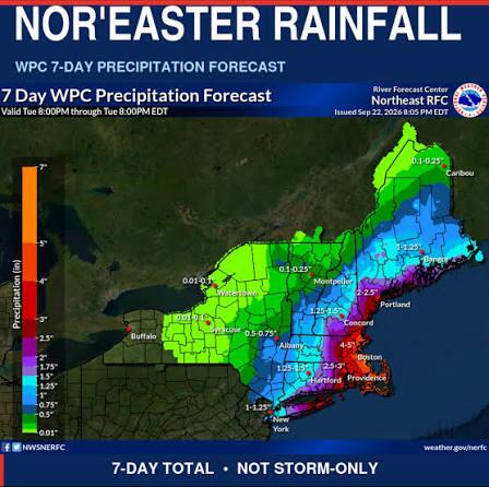 The Nor'easter Has Passed. What Should Homeowners Check Around Their Home?