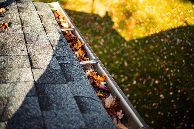 Fall Leaves and Your Gutters: Why Now Is the Time to Protect Your Home - Image 2