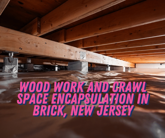 TrueFloor Wood Repair and Crawl Space Encapsulation in Brick, NJ