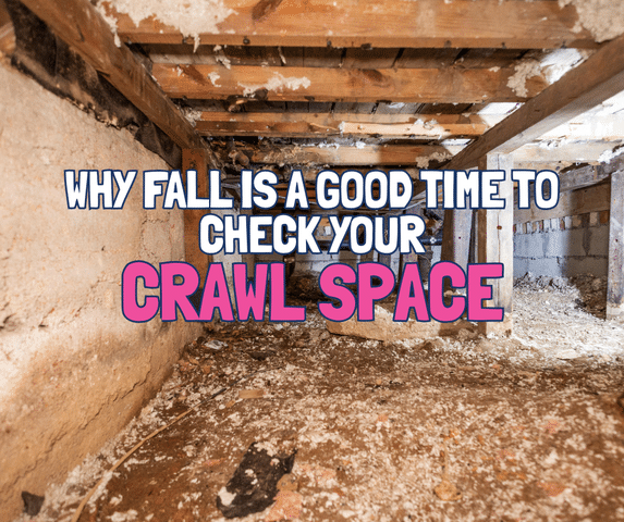 Why Fall Is a Good Time to Check Your Crawl Space