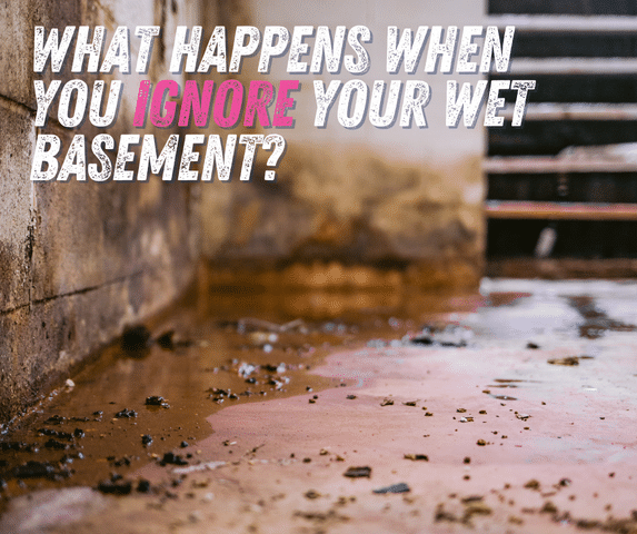 Why Ignoring a Wet Basement Can Cost You More Than You Think