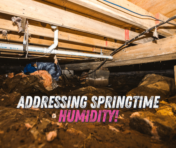 Springtime Humidity: Why Your Home Feels Damp as the Weather Warms Up