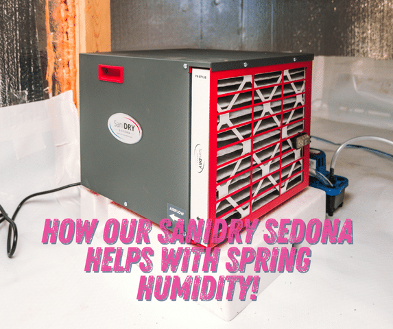 Springtime Humidity: How The SaniDry Sedona Dehumidifier Helps