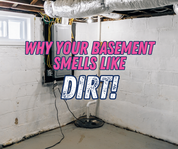 Why Your Basement Smells Like Dirt (And What That Musty Odor Could Mean)