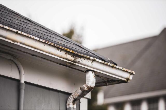 Leaves Are Falling! Here Are The Hidden Dangers of Clogged Gutters - Image 2