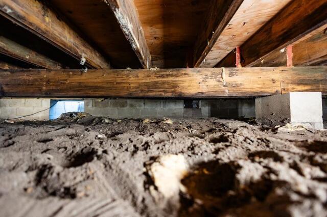 Why Fall Is a Good Time to Check Your Crawl Space - Image 4