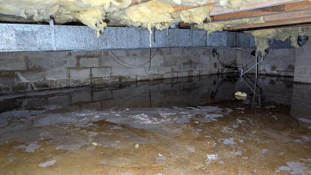 Why Crawl Space Encapsulation is Essential for a Healthy Home - Image 2