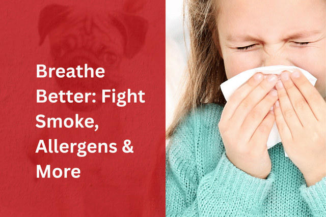 Breathe Better at Home: How the Aspen Air Purifier Fights Smoke, Allergens ...