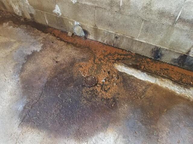 5 Warning Signs Your Basement Needs Waterproofing This Spring - Image 4