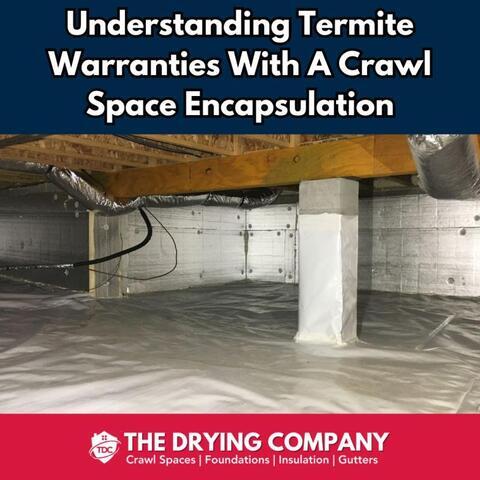 Understanding Termite Warranties With A Crawl Space Encapsulation - Image 1