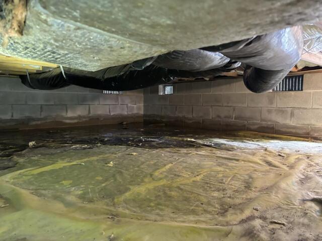Vented vs Sealed Crawl Space: Which is Better?
