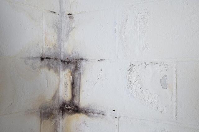 What Causes Basement Walls to Bow? Signs &amp; Solutions - Image 4