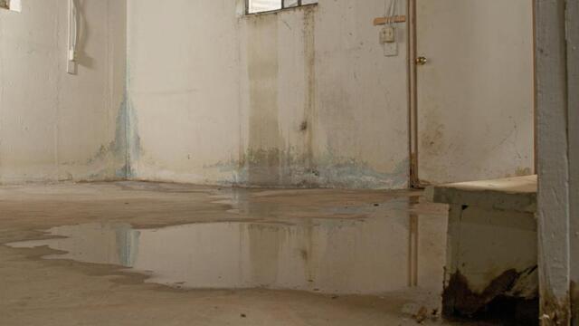 Basement Dehumidifier Guide: Humidity Control for a Dry, Healthy Home - Image 4