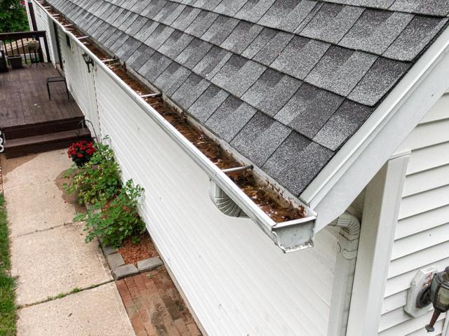 Gutters filled with debris, leaves, and standing water