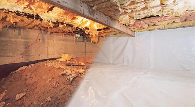 Indoor air allergey - Image 7