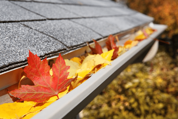 Seamless Gutters vs. Regular Gutters – Forbes Home