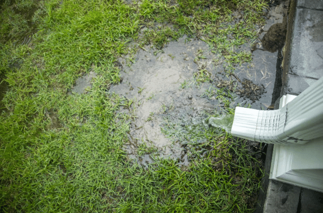 water pooling around home