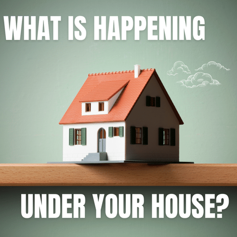 Crawl Space Confessions: What's Really Happening Under Your House?