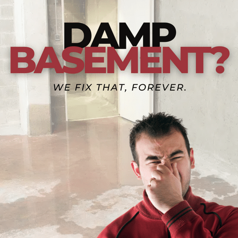 Why Is My Basement Always Damp And What Can I Do About It? - Image 1