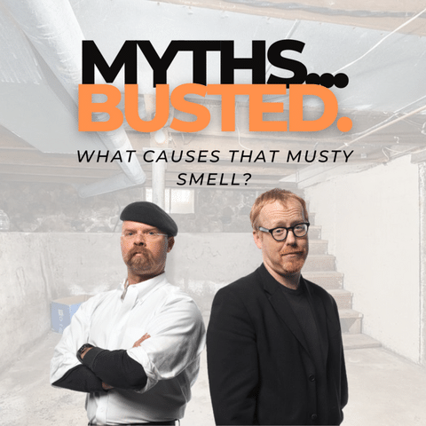 Basement Myths Busted: What Really Causes That Musty Smell?