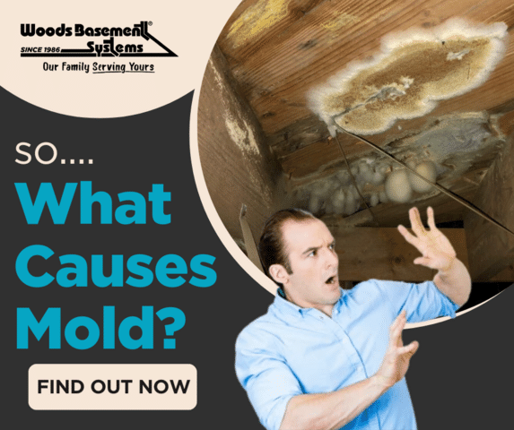 What Causes Mold to Grow in My Basement or Crawl Space?