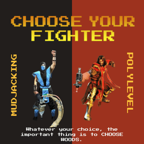 Choose Your Fighter: Mudjacking vs. PolyLevel