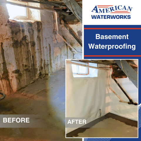 What Causes Mold to Grow &amp; How Basement Waterproofing Near You Can Help! - Image 3