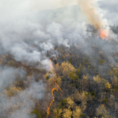 How Wildfire Smoke Can Affect You | Home Air Purifiers Near You! - Image 2