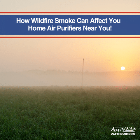 How Wildfire Smoke Can Affect You | Home Air Purifiers Near You!