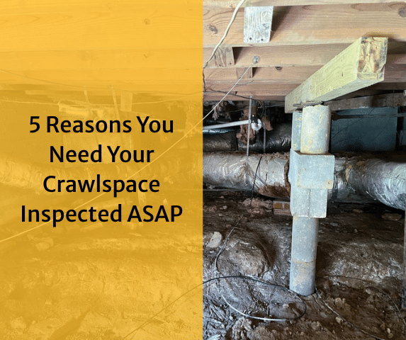 5 Reasons You Need Your Crawlspace Inspected ASAP