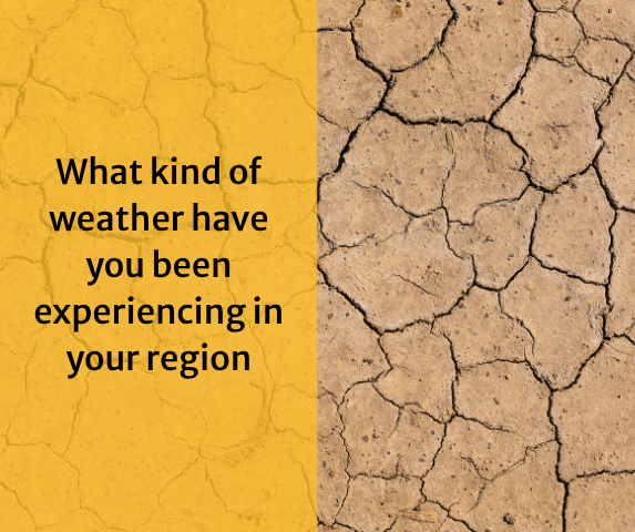 What kind of weather have you been experiencing in your region