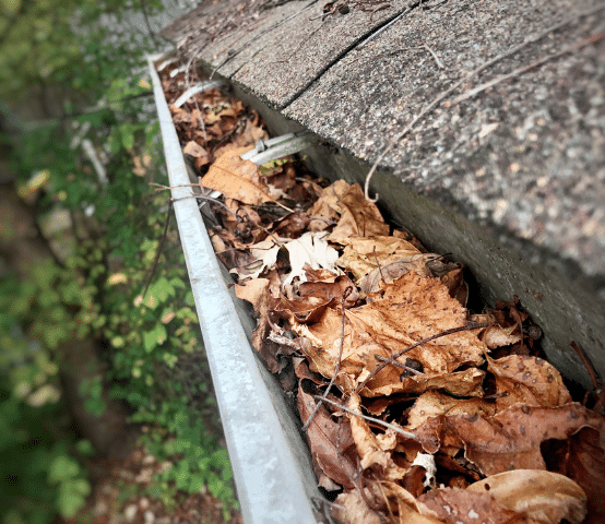 From Leaves to Leaks: Your Fall Seasonal Checklist - Image 2