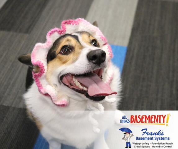 Frank\&#039;s Basement Systems Goes Pink This October - Image 4