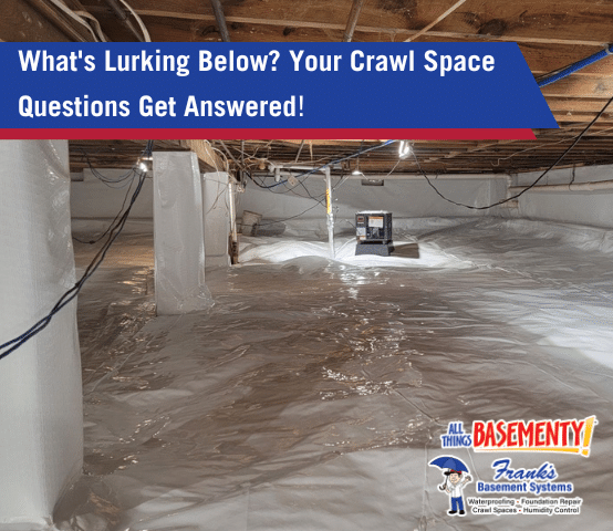 What's Lurking Below? Your Crawl Space Questions Get Answered!