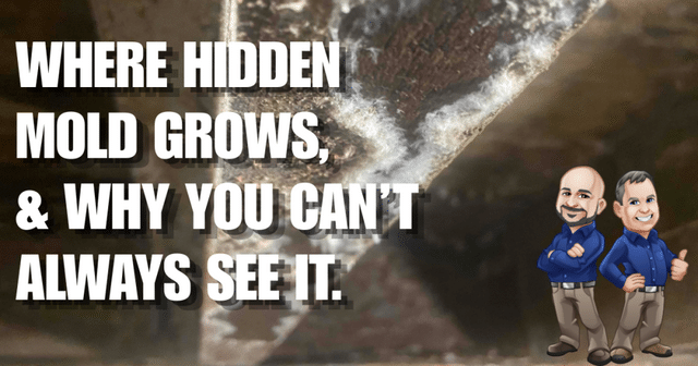 Where Hidden Mold Grows & Why You Can't Always See It.